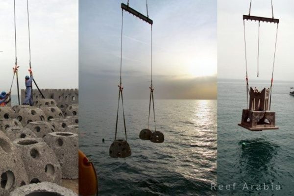 Site selection and designing, manufacturing, deploying and monitoring of 2620 artificial reef units for the Government of the Kingdom of Bahrain.